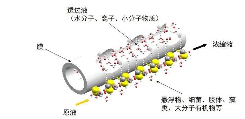 膜清洗