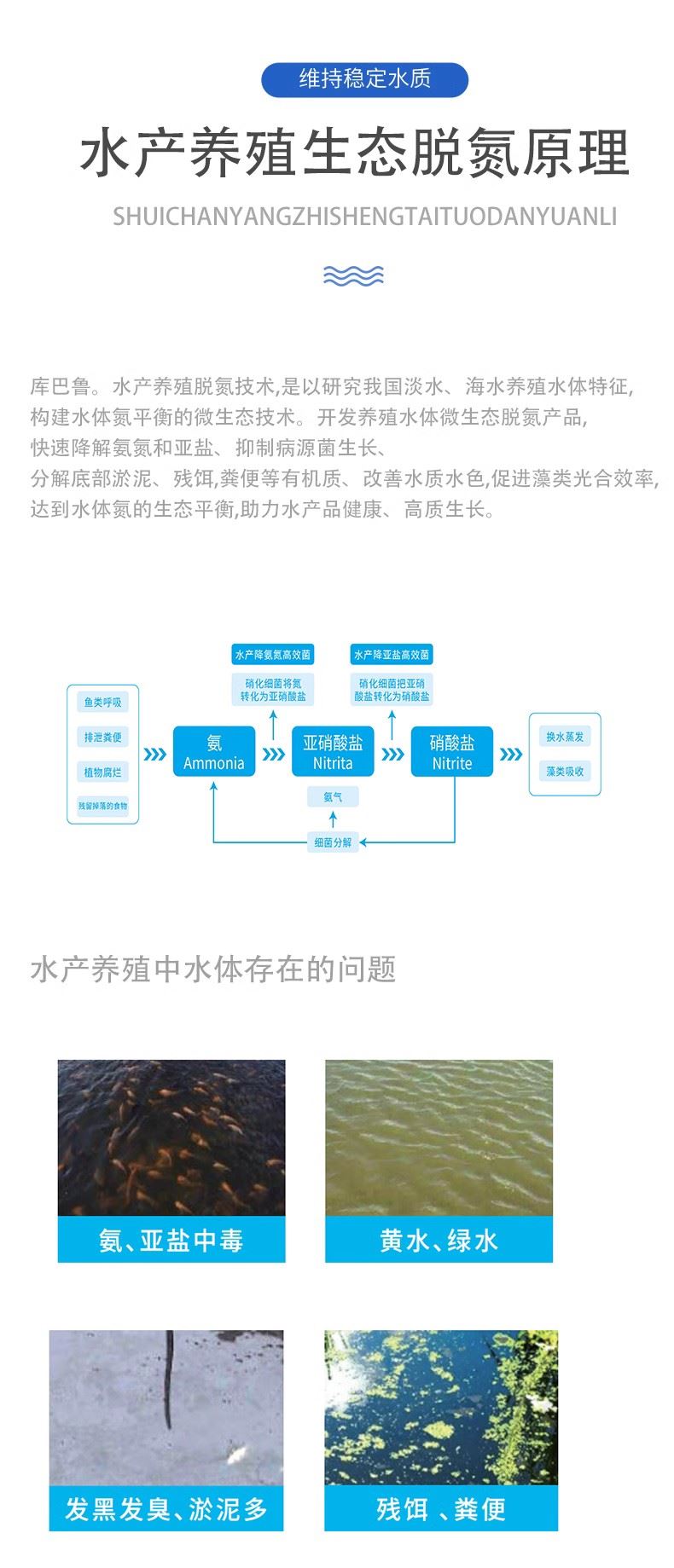 水产养殖脱氮