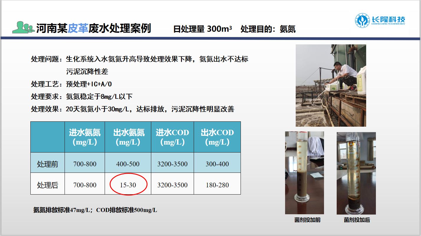 低温氨氮菌应用案例1