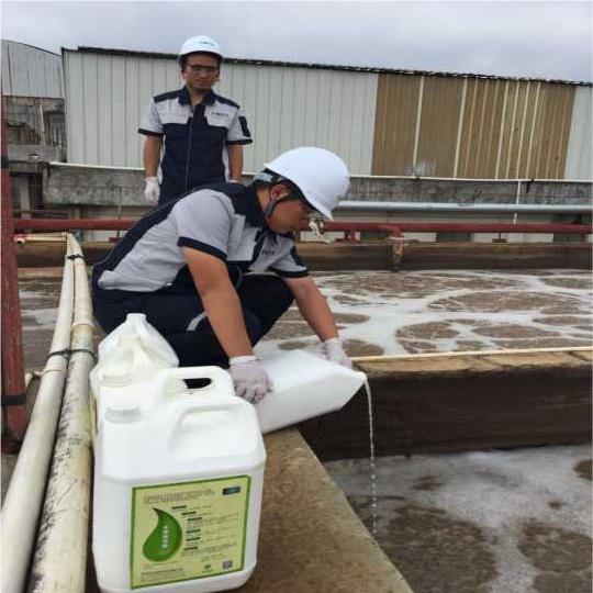 污水脱氮除磷